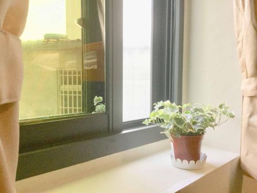 a potted plant sitting on a window sill at 高鐵背包客 HSR BnB 桃園民宿 063號 in Zhongli