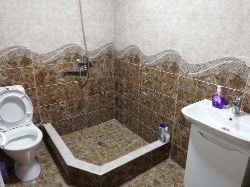 een badkamer met een douche, een toilet en een wastafel bij Colourful Udabno in Udabno