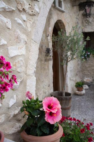 a bunch of pink flowers in a pot next to a building at Charme in Perillis in Popoli