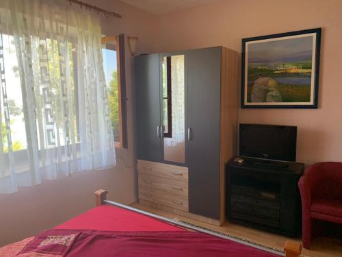 TV a/nebo společenská místnost v ubytování Apartments Villa Boris