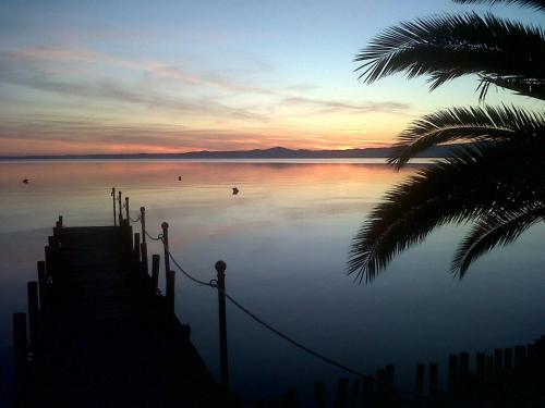 a view of a lake at sunset with a palm tree at Hotel Eden Sul Lago in Bolsena