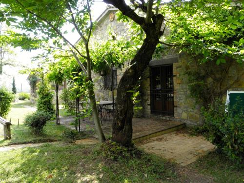 Taman di luar Agriturismo Borgo Santa Maria