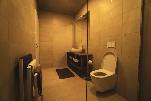 a small bathroom with a toilet and a sink at Enjoy Green, APP with swimming pool, garden, pets welcome in Novigrad Istria