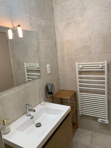 a bathroom with a white sink and a mirror at Gîte Chablisien in Chablis