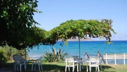 a group of chairs sitting under a tree near the ocean at Maria's Apartments in Kalyves