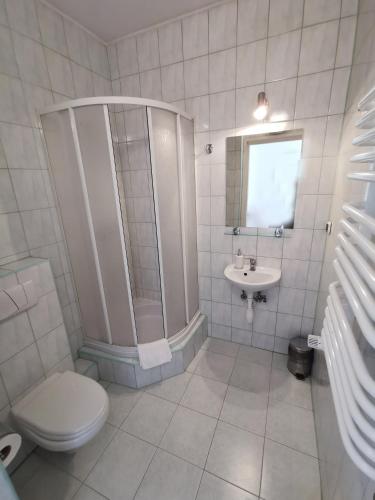 a bathroom with a shower and a toilet and a sink at Hotel TERESITA in Kraków