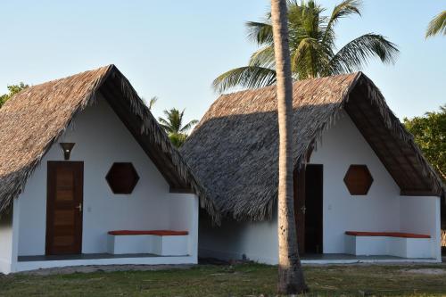a house with a thatched roof and a palm tree at Pousada Velho Bateau in Atins