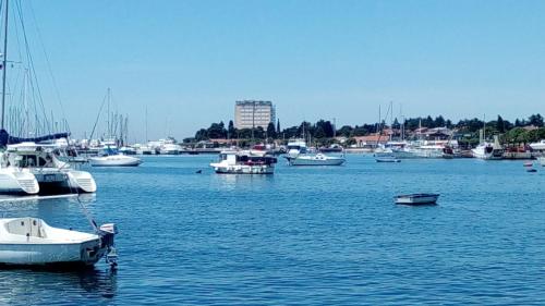 Φυσικό τοπίο κοντά σε αυτό το διαμέρισμα