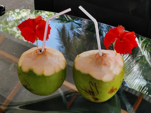 dos manzanas verdes con flores rojas encima de una mesa de cristal en Relax Lodge, en Thoddoo