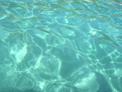 a close up of the water in a pool at Case vacanza Barbatoja in Fetovaia