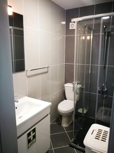 a bathroom with a toilet and a shower and a sink at Casa do Forno do Ti Correia in Macedo de Cavaleiros