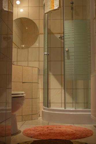 a bathroom with a shower and a toilet and a rug at Motelik Lord in Gorzów Wielkopolski