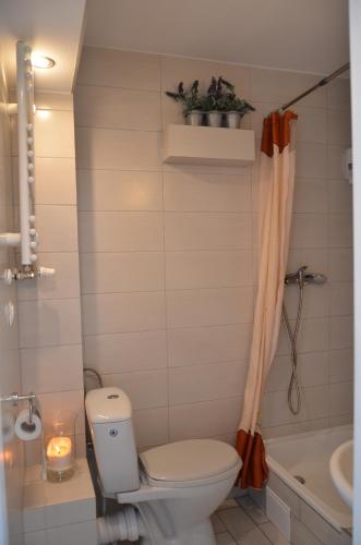 ミエンジズドロイェにあるPendrowkaのバスルーム(トイレ、洗面台、バスタブ付)