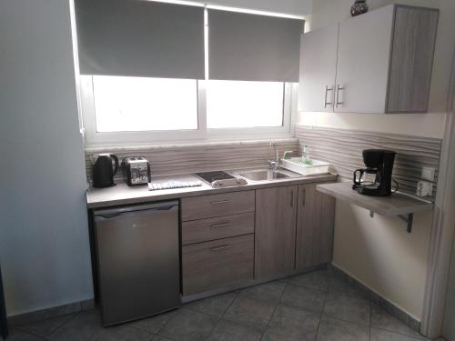 a small kitchen with a sink and a dishwasher at Haraki Beach in Haraki