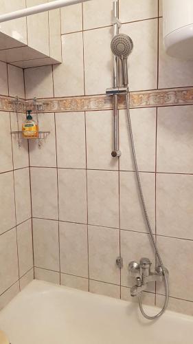a shower in a bathroom with a shower head at Apartment 22 Omiš in Omiš