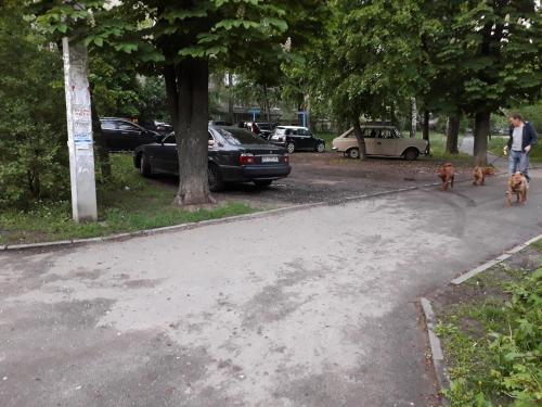 a man and two dogs walking down a street at Apartment 30 m2 on Sergei Esenin 11 in Kharkiv