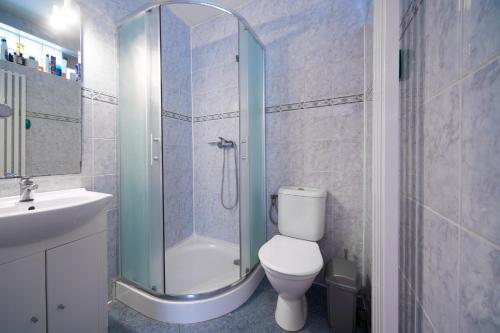 a bathroom with a shower and a toilet and a sink at Penzion Zajíček in Zaječí