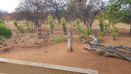 a garden with trees and a fallen tree trunk at Hornbills Rest Country Home in Phalaborwa
