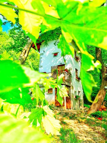 a large house in the middle of a forest at Il Roccolino in Valsecca