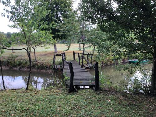 a wooden bench sitting in the middle of a pond at Florennes Gîte neuf 150 M2 devant un grand lac privé de 2 hectares poissonneux au milieu des bois in Florennes