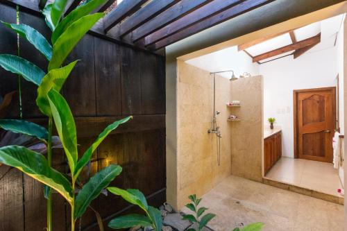 a bathroom with a shower and a plant at Stonefield Villa Resort in Soufrière