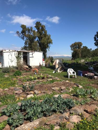 a garden with a white chair in a field at NATURA-eco farm in Natur