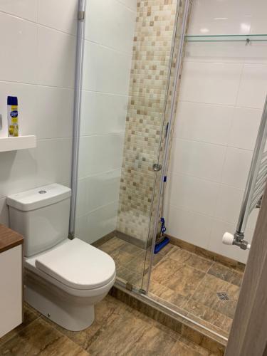 a bathroom with a toilet and a shower at Gonio N904 Beachfront Panorama in Gonio