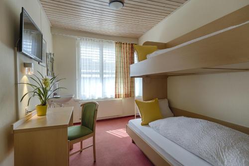 Hotel Blume Interlaken電視和／或娛樂中心
