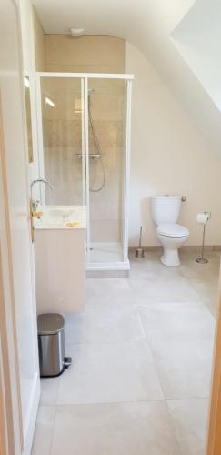 a bathroom with a shower and a toilet at Crown Roads in Le Faouët