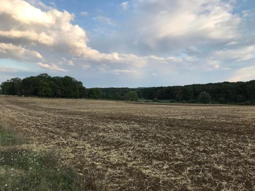 an empty field with trees in the background at L Orée Du Bois in Moncheux