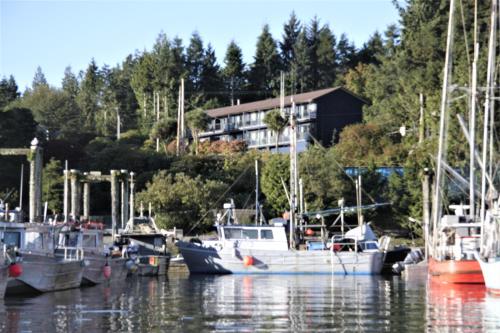 a group of boats docked in a marina at Tofino Motel Harbourview in Tofino