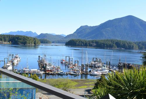 a bunch of boats are docked in a harbor at Tofino Motel Harbourview in Tofino
