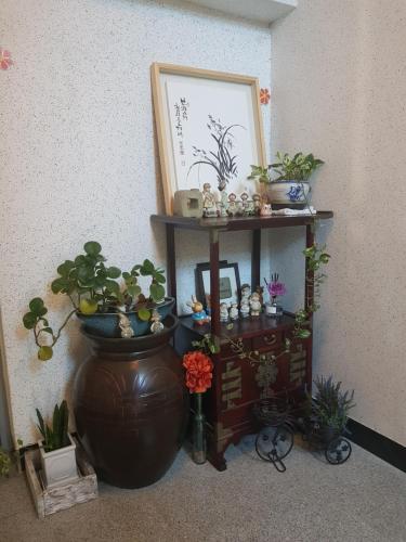 a shelf with potted plants on it next to a wall at Purmir Pension in Seogwipo