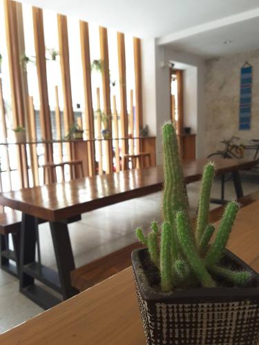 a cactus in a pot sitting next to a wooden table at Huglampang Boutique Hotel in Lampang