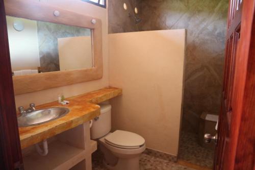 La salle de bains est pourvue de toilettes, d'un lavabo et d'un miroir. dans l'établissement HOTEL ALTAVISTA, à Zacatlán
