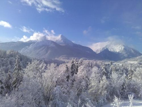 a snow covered mountain in the distance with snow covered trees at Die schlafende Goass in Bischofswiesen