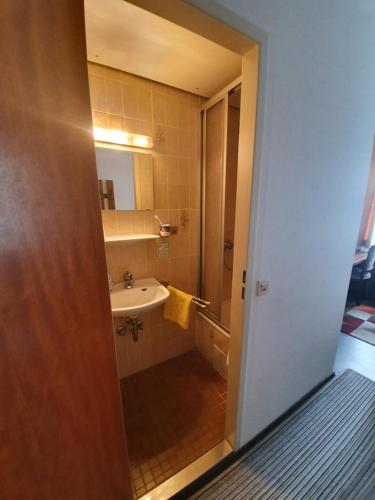 Rehau的住宿－Hotel & Restaurant Krone，带淋浴、盥洗盆和镜子的浴室