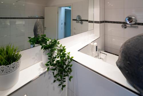 a bathroom with a sink with a potted plant at Boardinghaus an der Sempt - Wohlfühlen auf dem Lande in Erding