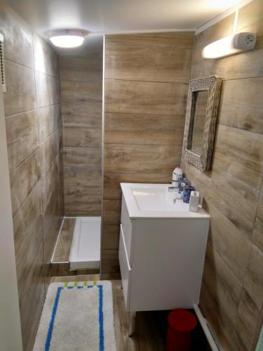 La salle de bains est pourvue d'un lavabo et d'une douche. dans l'établissement maison en bord de mer wifi, à Fos-sur-Mer