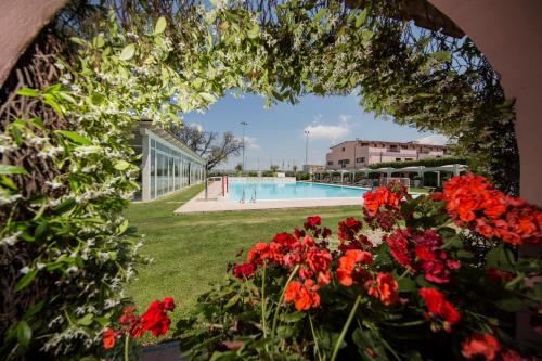 a view of a swimming pool with red flowers at Mancini Park Hotel in Mostacciano 