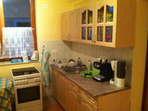 a kitchen with wooden cabinets and a counter top at Bíbic Vendégházak in Nagybajom