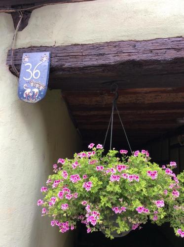 Gambar di galeri bagi Huna’gîte di Hunawihr