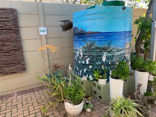 a group of potted plants in front of a barrel at Arum Field Accommodation in Table View