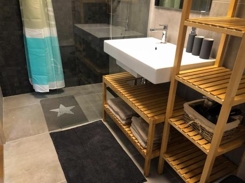 a bathroom with a sink and a shower at Ski and Bike Apartment Rušovc in Kranjska Gora
