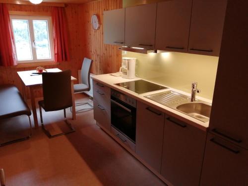 eine Küche mit einer Spüle und einer Arbeitsplatte in der Unterkunft Haus Silke in Silbertal