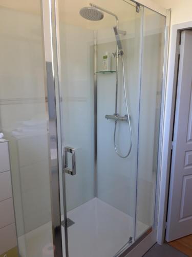 a shower with a glass door in a bathroom at Gîte de Truyère in Entraygues-sur-Truyère