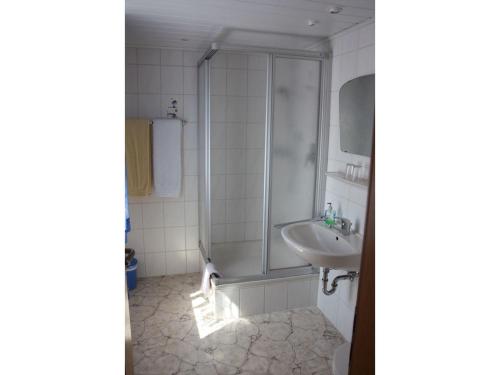a bathroom with a shower and a sink at Ferienhof Koch in Oedelsheim
