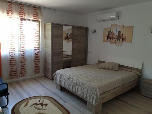 Gallery image of Casa Arina in Sulina