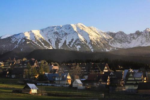 een dorp met besneeuwde bergen op de achtergrond bij Domki u Wilka in Poronin