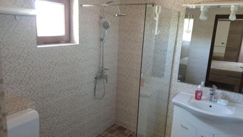 Gallery image of Casa Arina in Sulina
